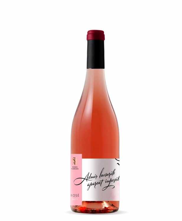 Вино «Rose» 2021 Cabernet Sauvignon, Minis Terrios. 0,75