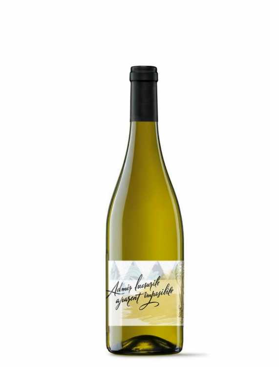Вино «Sauvignon Blanc» 2023 Minis Terrios. 0,75