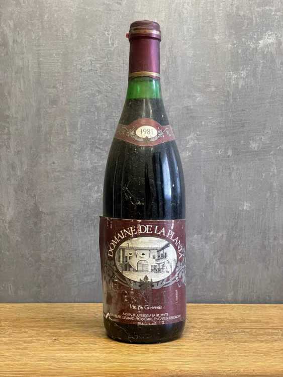 Вино Domaine de la Planta Gamay 1981 года